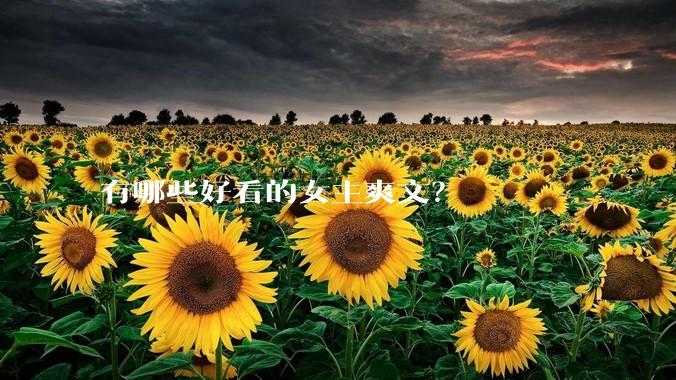 有哪些好看的女主爽文？