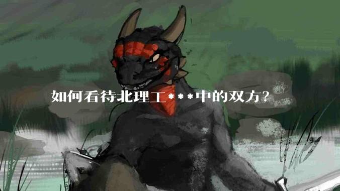 如何看待北理工***中的双方？