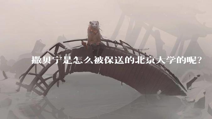 撒贝宁是怎么被保送的北京大学的呢？