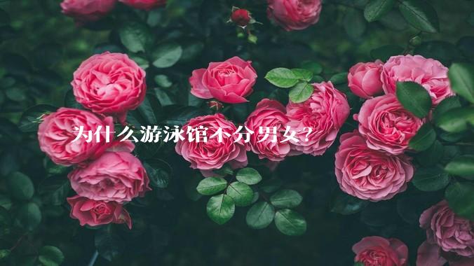 为什么游泳馆不分男女？