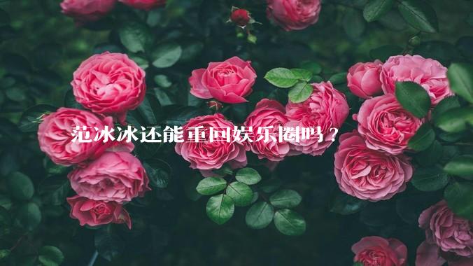 范冰冰还能重回娱乐圈吗?