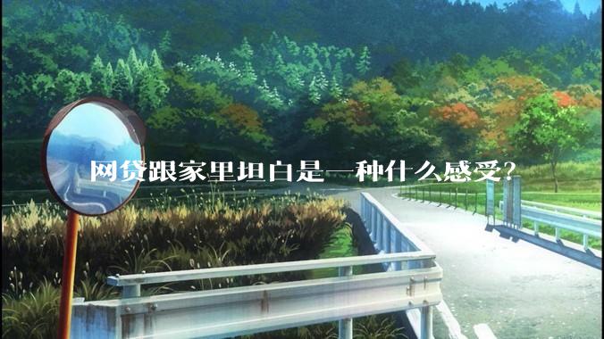 网贷跟家里坦白是一种什么感受？